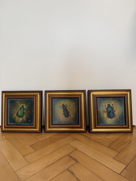 Картини с инсекти