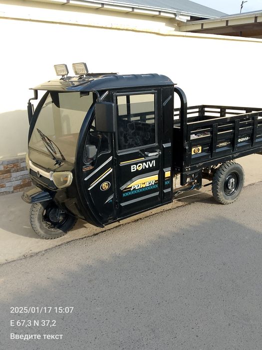 Муравей электричиский