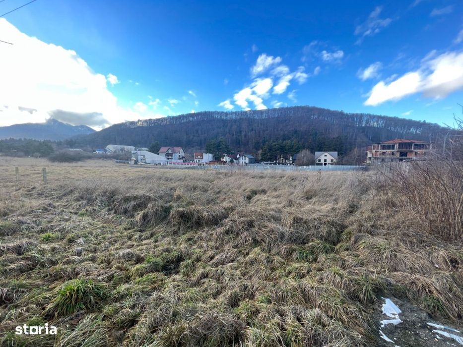 Teren intravilan Bunloc, Str Carpenului