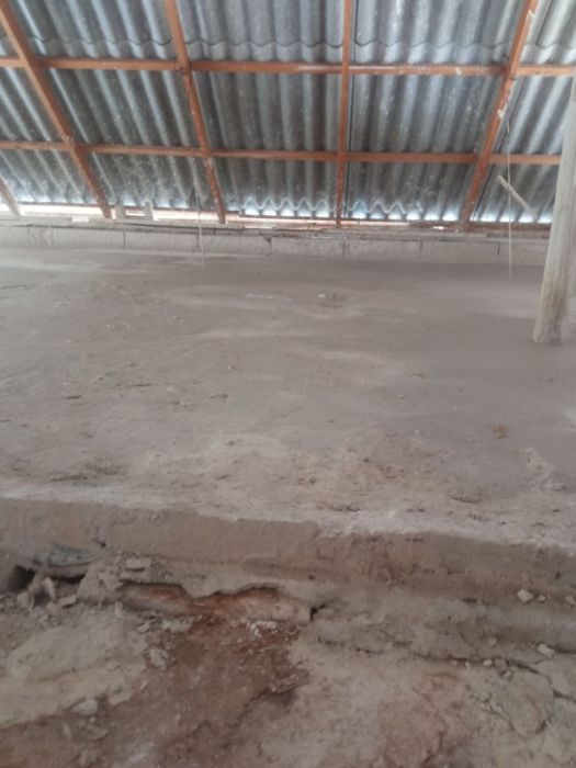 Tomga sifatli pena lomboz hizmati