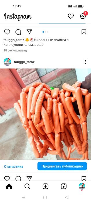 Колбаса для питомцев, для кур для рыб