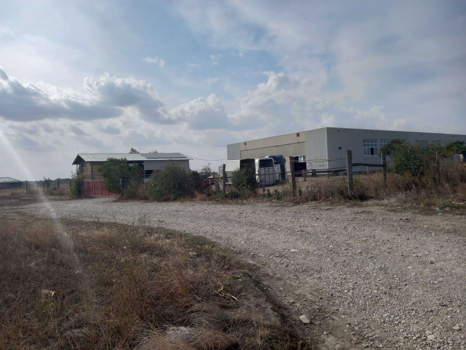 Teren Dascalu, 10.000 mp