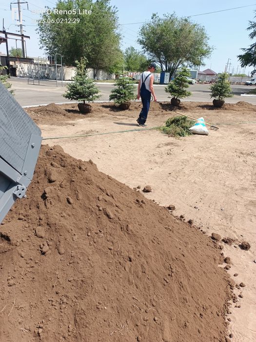 Плодородный слой чернозем перегной!!!