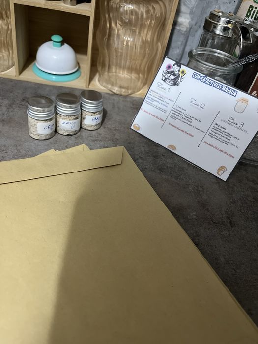 Maia uscată+ ghid de activare