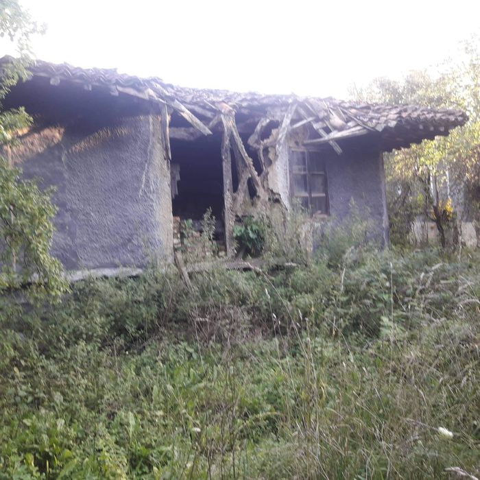 Продава се Къща в Елена - 1100 кв.м за 41 €/кв.м - Снимка #7