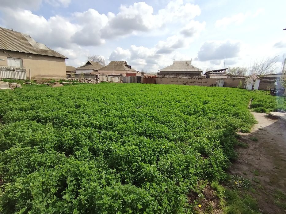 10 sotix yer sotiladi