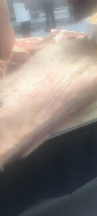 Казы жир ,шужык !