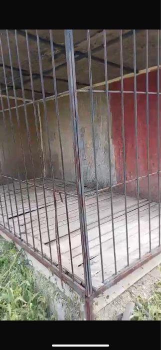 Варье для собаки большой