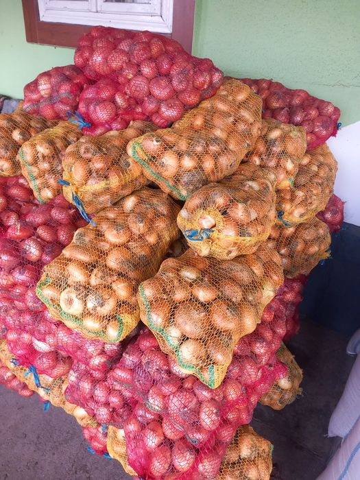 Vand ceapa bio fara chimicale