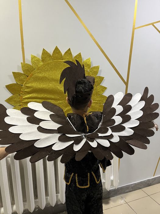 Костюм беркута и солнца