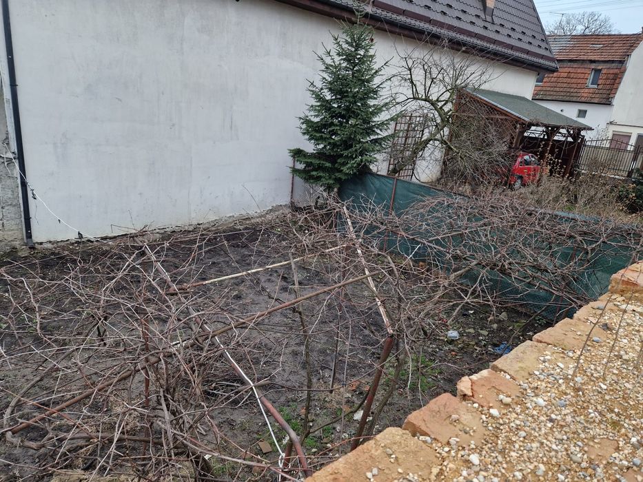 Proprietar - vand casa + teren 597mp