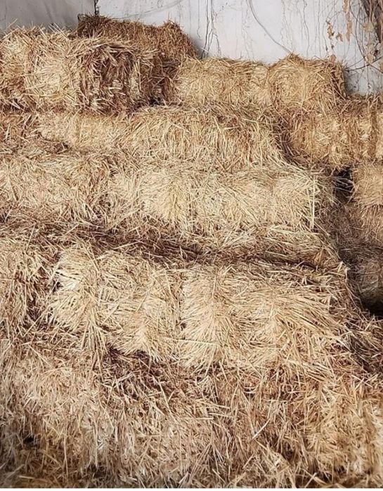 Somon presi bor 22.000 kelishimiz kami bor