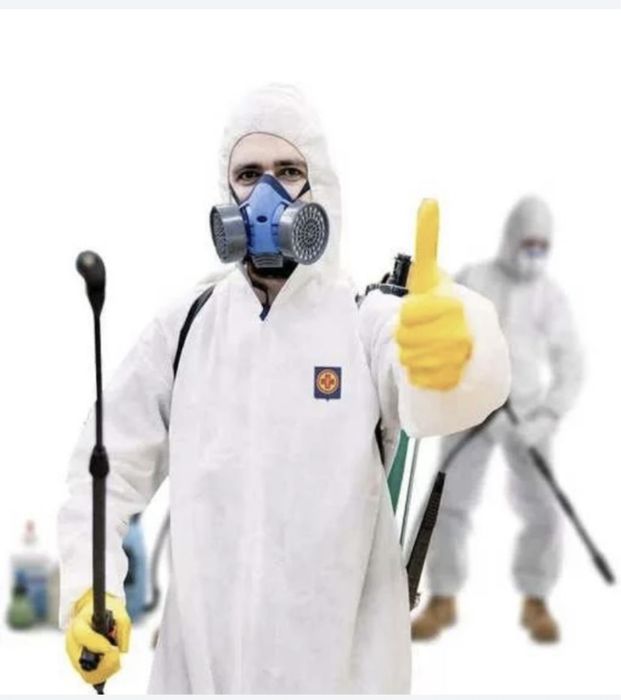 Дезинфекция от термитов