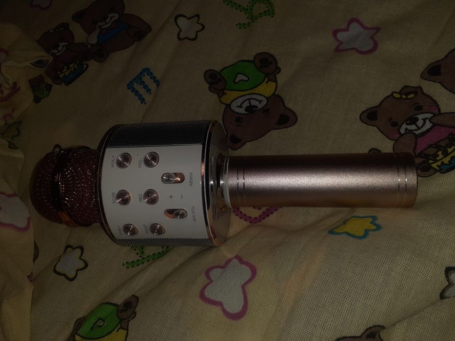 Микрофоны с колонкой  для караоке.