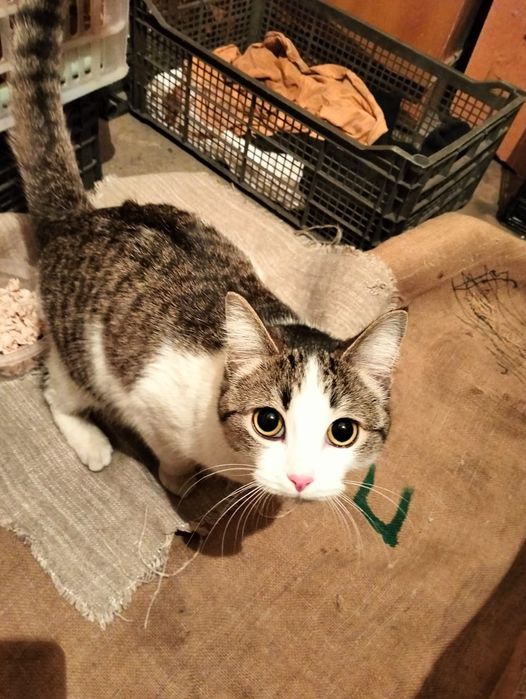 Живёт в кладовке