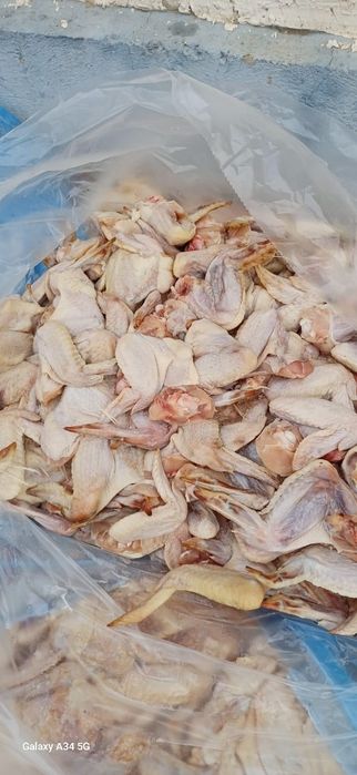 Спинки кур, корма для собак и кошек