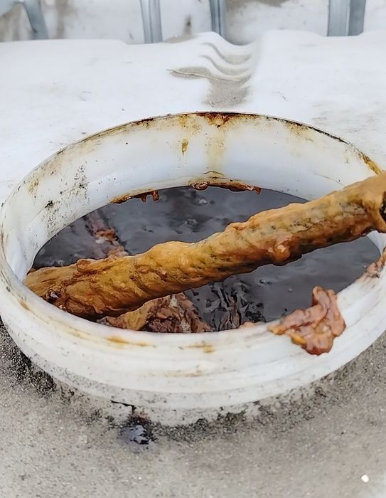 Фуз. Баковый отстой.