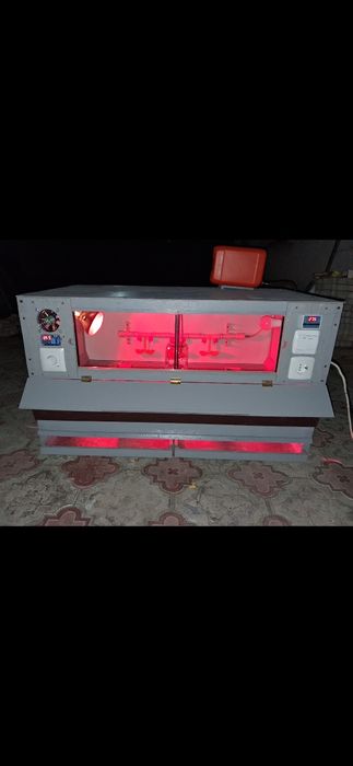 Инкубаторлар 100, 200 жұмыртқаға автомат