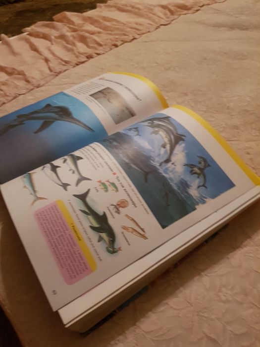 Книга  энциклопедия