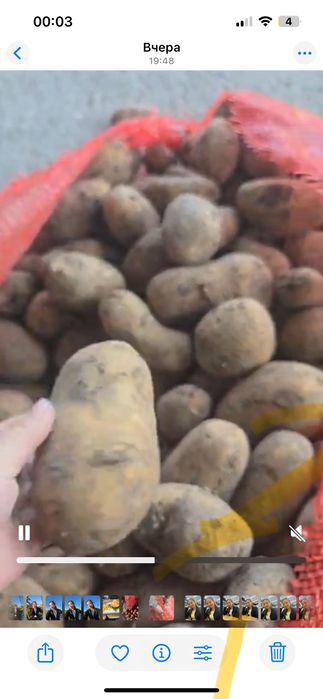 Продам картофель 2 сорт Нелеквид