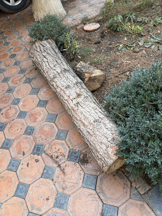 Дрова  дерево оконные раммы