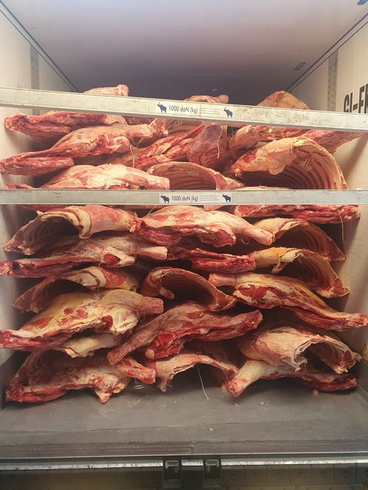 Мясо говядины оптом