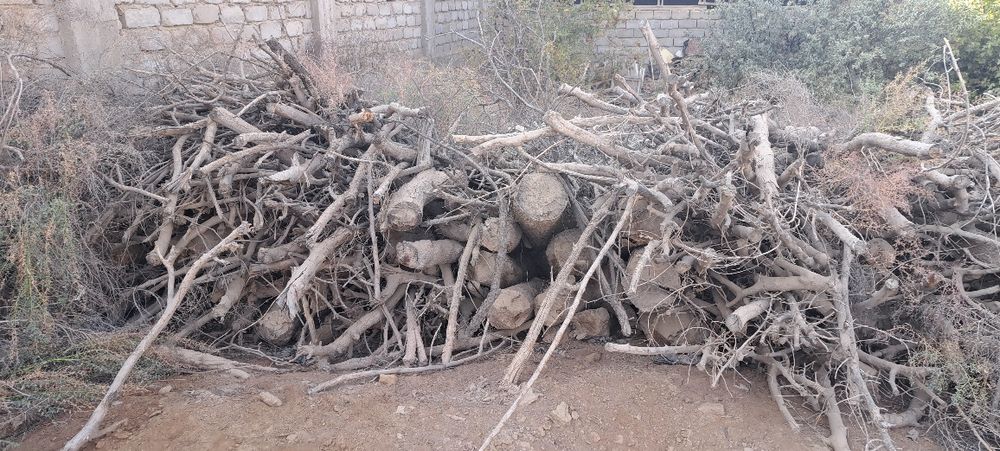 Ўтин    сотилади.