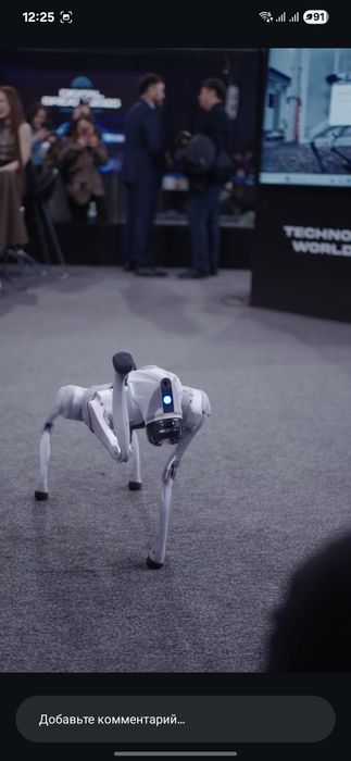 Робот собака Go2 Прокат