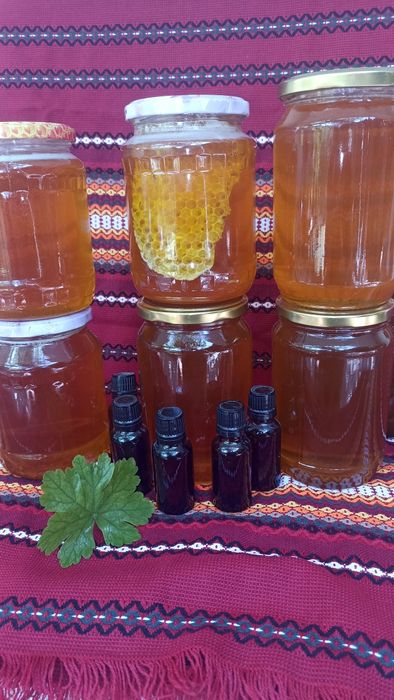 Пчелен мед реколта 2025