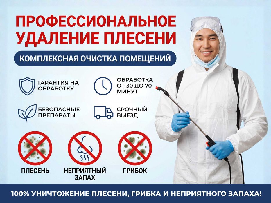 Обработка квартир от плесени и неприятного запаха. Дезинсекция