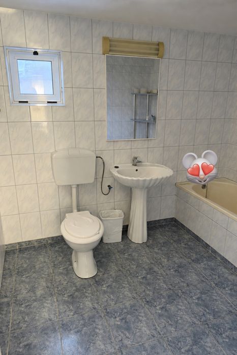 Vila de vanzare Top Ologeni negociabil
