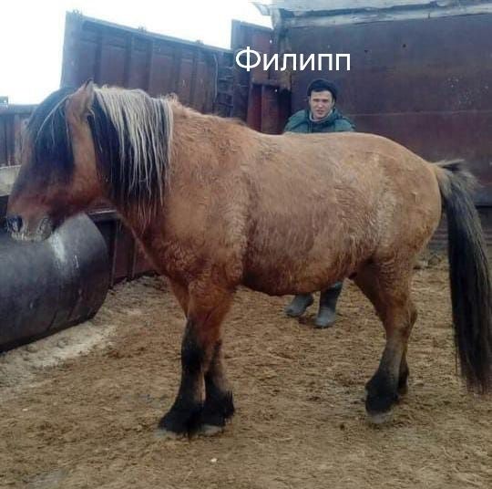 МЗ тайлар 2025. сатылымда.