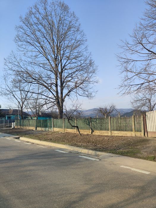 Teren de vânzare Nișcov !
