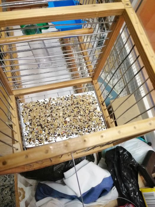 Продавам дървени клетки, капани, капанджи, и всякакви размери