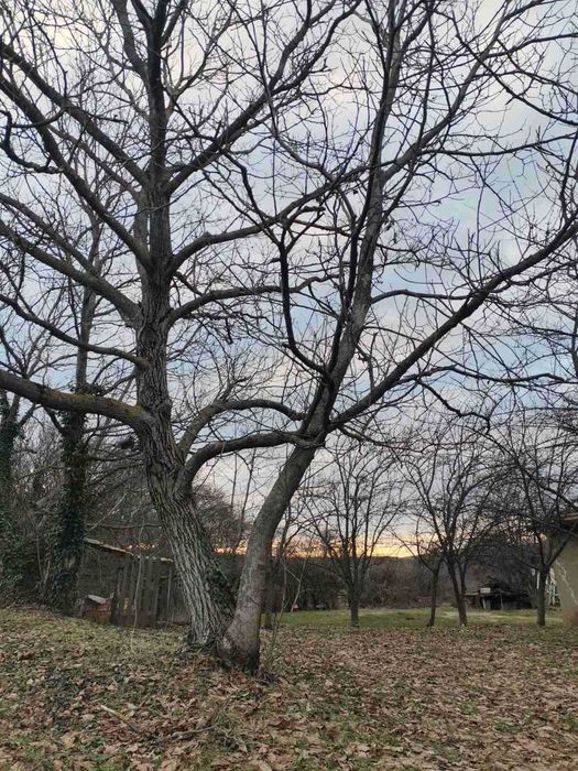 Тухлена къща !!! и  селскостопански постройки  село Горна Кабда