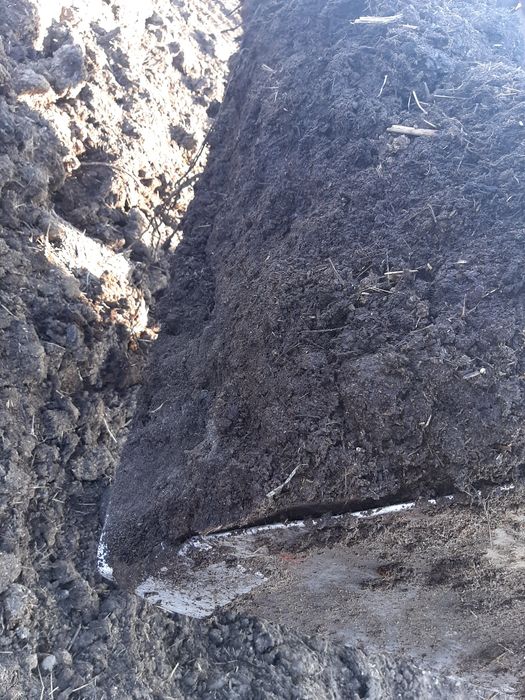 Перегной навоз доставка