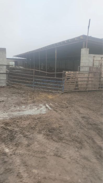 Фазенда на аренду и продажу