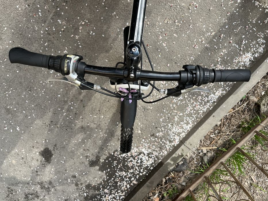 SCOTT Spark Junior 24