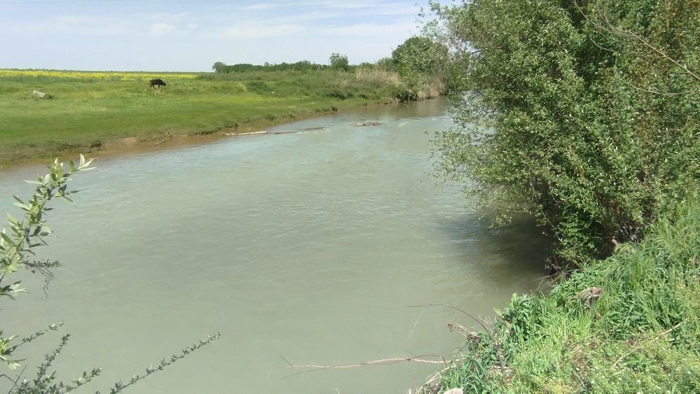 Срочно 6 сотих ер сотилади