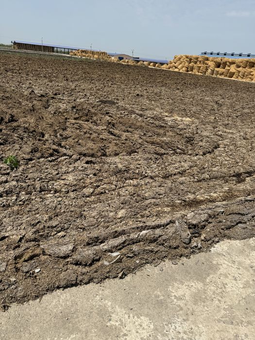 Қуру гонг Навоз сухой