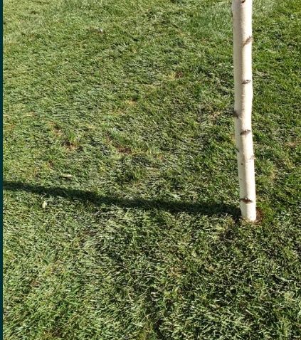 Gazon rulou sisteme de irigații