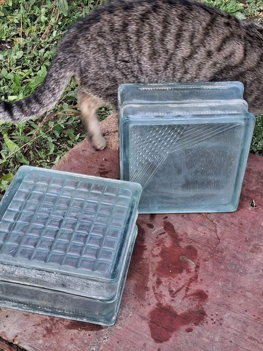 Стеклоблок буу 50 штук