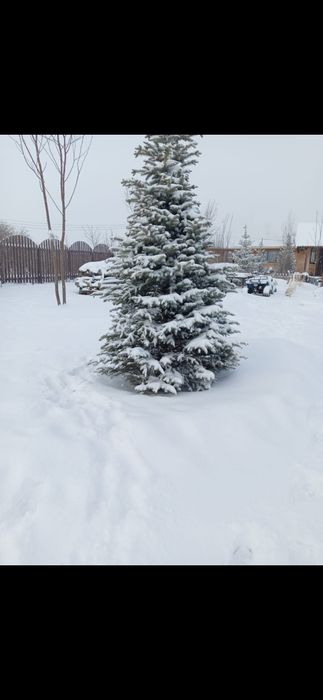 Продам дом, возможна рассрочка через нотариус