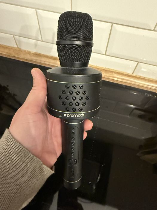 Microfon cu difuzor si mp3