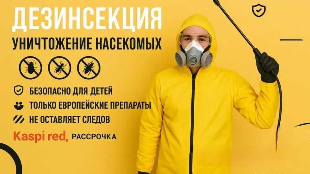 СЭС Клопы ,тараканы . Результат .