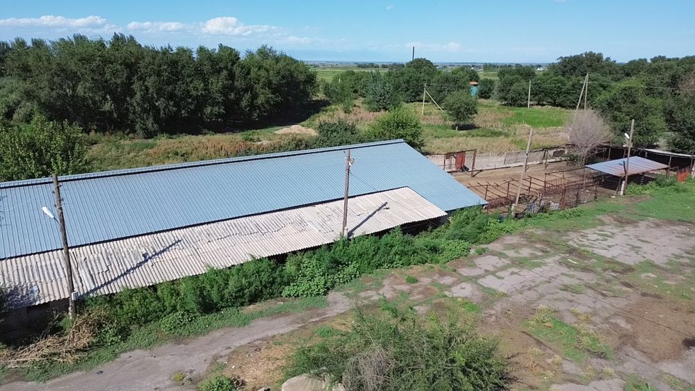 Продам откорм базу в Енбекшиказахском районе