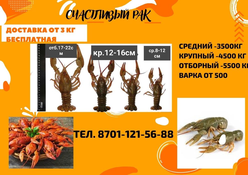 Раки в продаже сильный крупный
