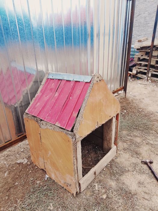 Итің үйшігі сатылады