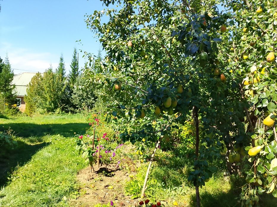 Продам дачу в отличном месте