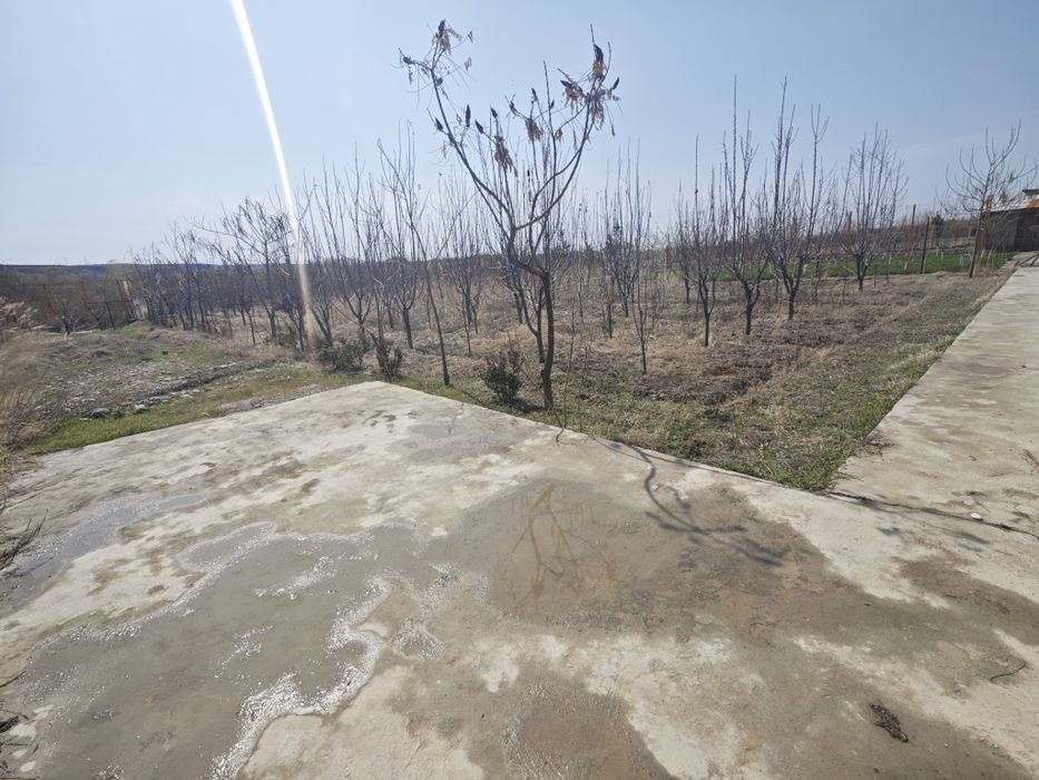 30 sotikli dacha sotiladi srochna suv boyida